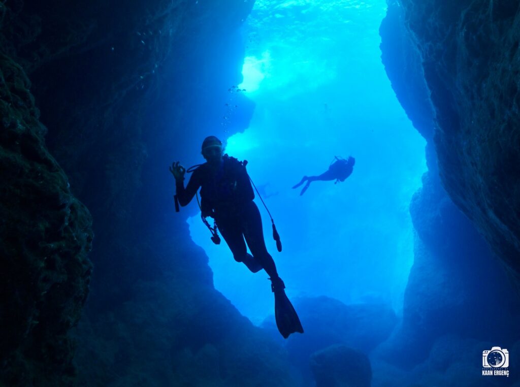 deephookdiscoveries_1759477813_3735093073676900617_76403447352