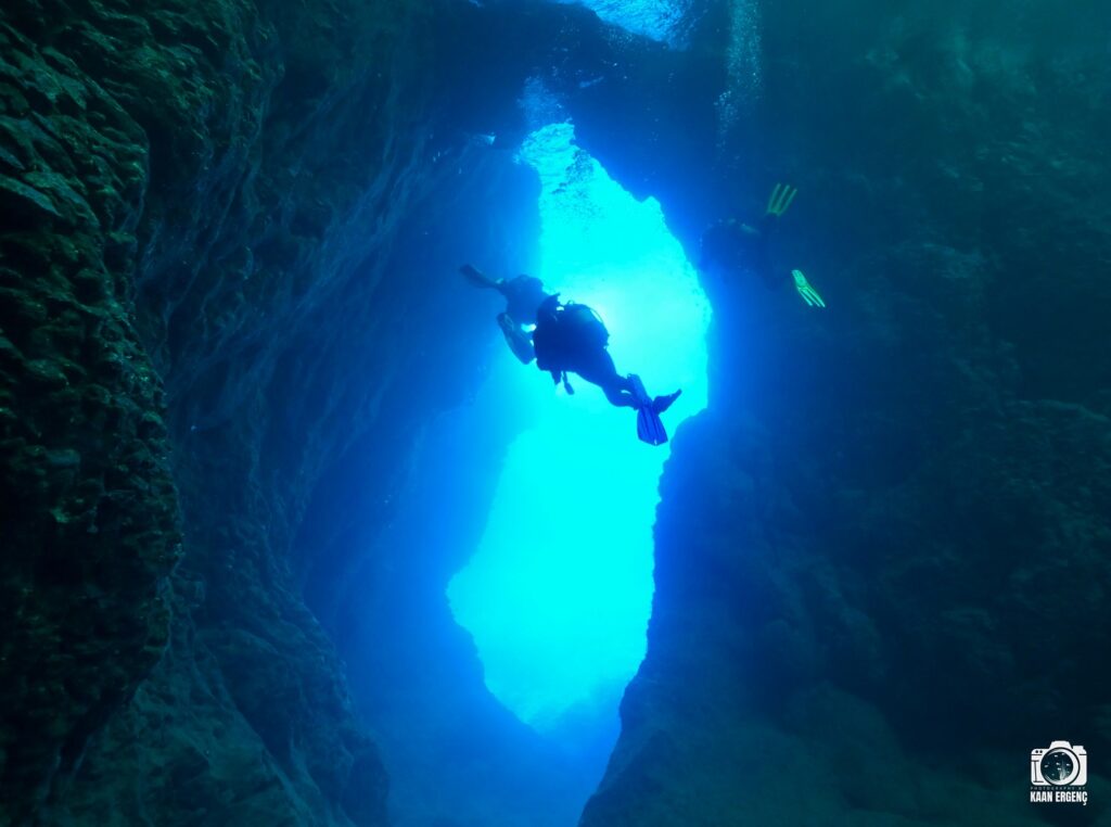 deephookdiscoveries_1759477813_3735093073962128542_76403447352