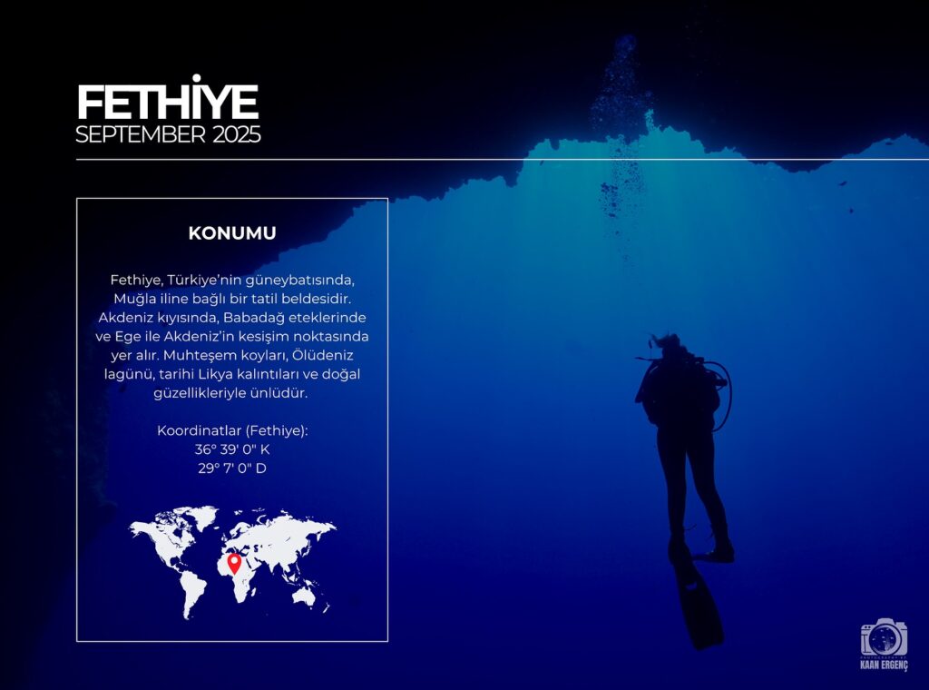 deephookdiscoveries_1759477813_3735093073970466678_76403447352