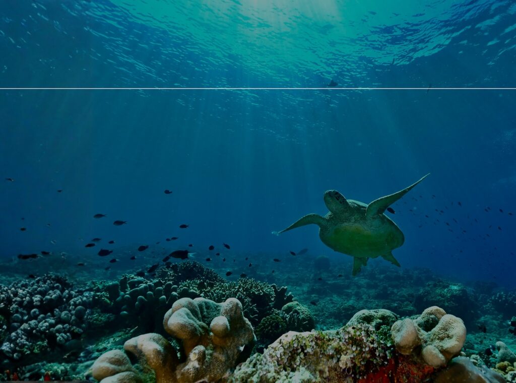 deephookdiscoveries_1759915041_3738760810366302642_76403447352