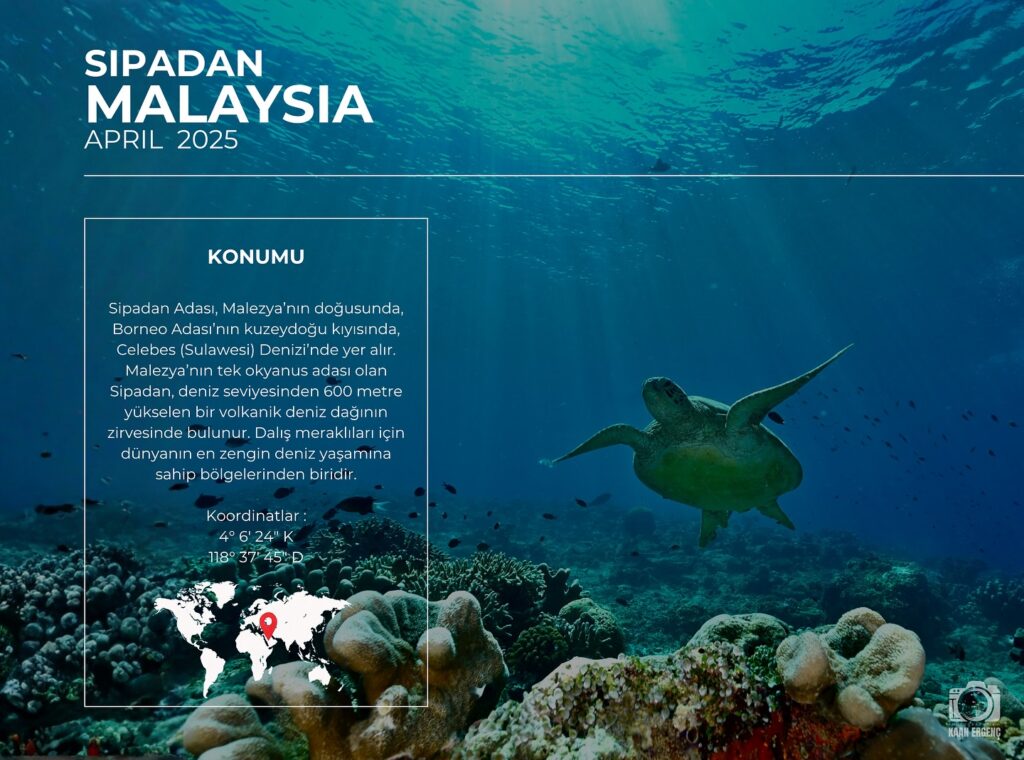 deephookdiscoveries_1760001892_3739489363798004952_76403447352