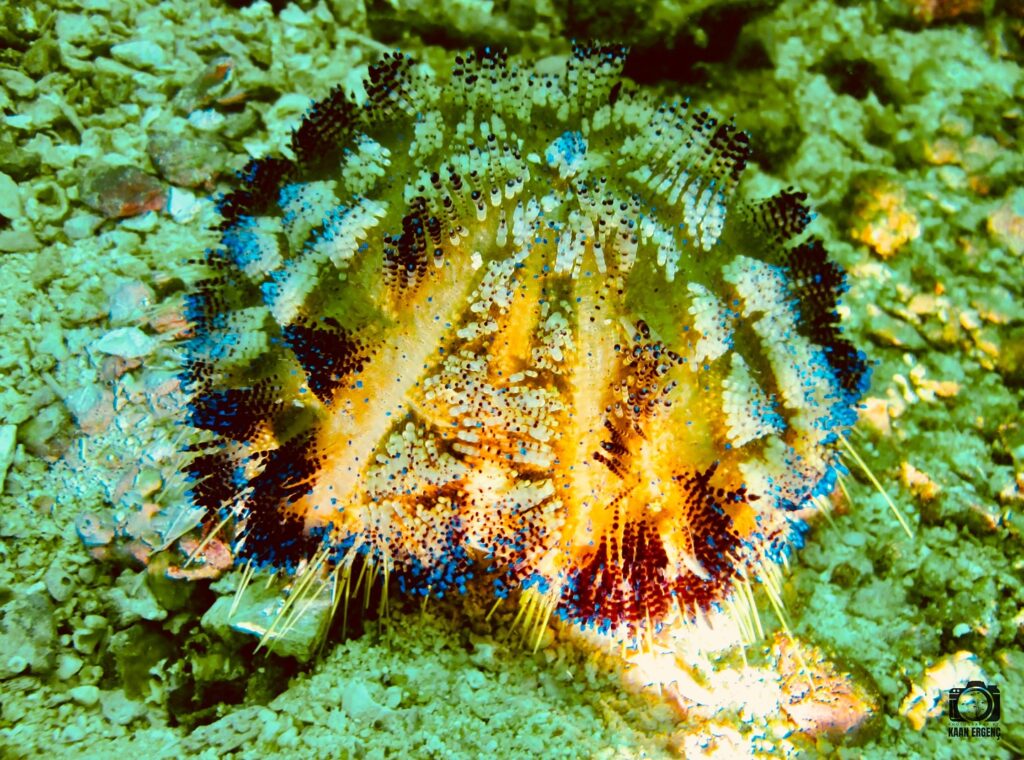 deephookdiscoveries_1761562047_3752576892780722210_76403447352