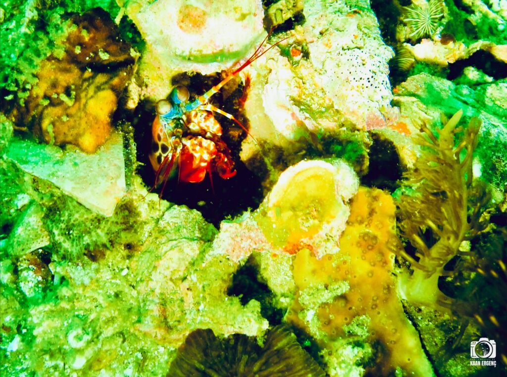 deephookdiscoveries_1761562132_3752577609947990425_76403447352