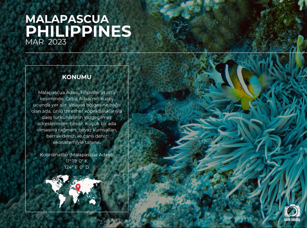 deephookdiscoveries_1761562132_3752577609948000713_76403447352