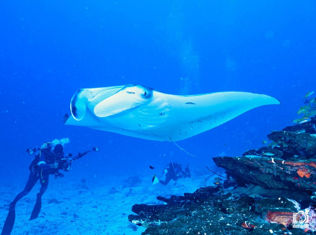 deephookdiscoveries_1763031020_3764899531113151208_76403447352