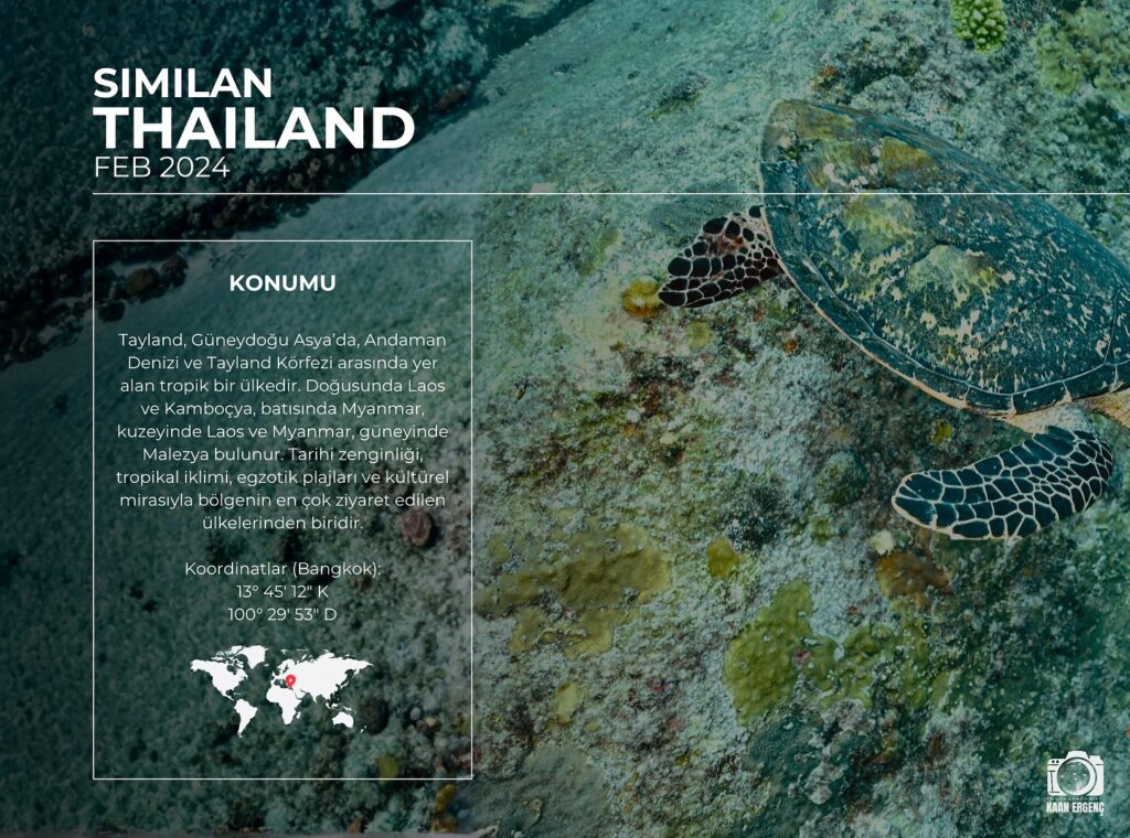 deephookdiscoveries_1763406660_3768050631102228414_76403447352