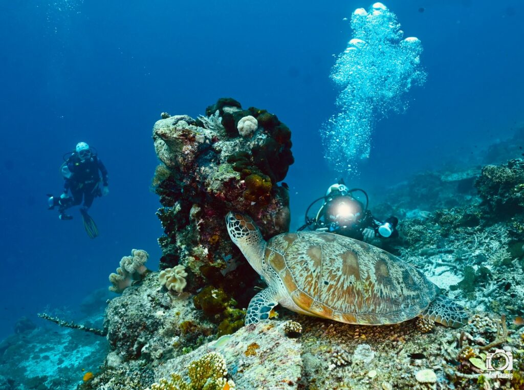 deephookdiscoveries_1764333503_3775825552221942591_76403447352